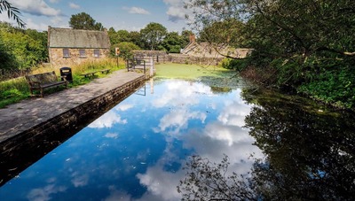 A perfect pond for Worsbrough Mill