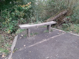 A bench with no arm rests just off the path