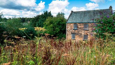 Worsbrough Mill Reservoir Improvement Works 