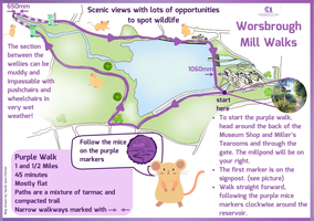 A map of Worsbrough Mill Walks highlighting the Purple Walk route, which loops around a reservoir. The 1.5-mile walk takes about 45 minutes, is mostly flat, and follows tarmac and compacted trail paths.