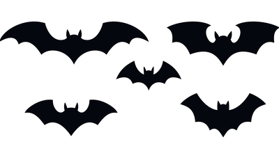 Flying Bats: Halloween half-term fun!