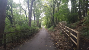 Lane from car park to Mill lined with trees.