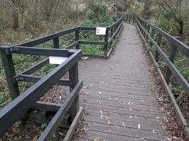 A passing and resting place on a bridge over some of the more waterlogged areas of the Country Park.