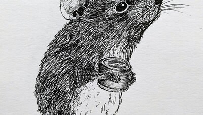 Worsbrough Mill Harvest Mice Trail