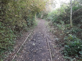 An earth path around the reservoir with trees either side